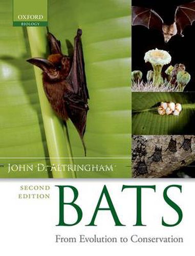 Cover image for Bats: From Evolution to Conservation