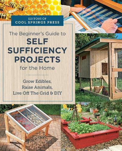 Cover image for Beginner's Guide to Self Sufficiency Projects for the Home