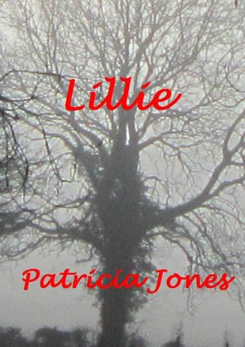 Cover image for Lillie