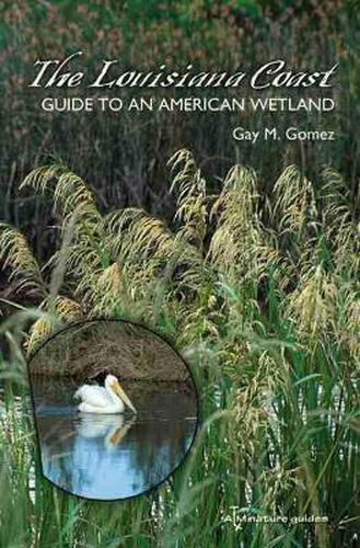 The Louisiana Coast: Guide to an American Wetland