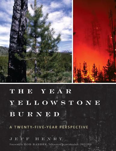 Cover image for The Year Yellowstone Burned: A Twenty-Five-Year Perspective