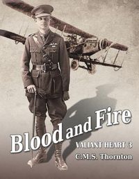 Cover image for Blood and Fire