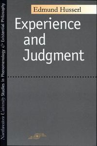 Cover image for Experience And Judgment