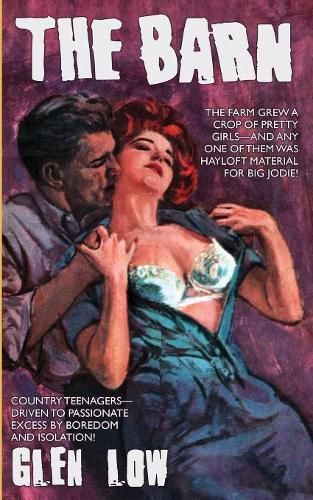 Cover image for The Barn