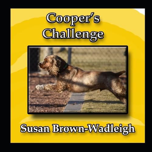 Cover image for Cooper's Challenge