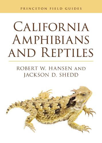 Cover image for California Amphibians and Reptiles