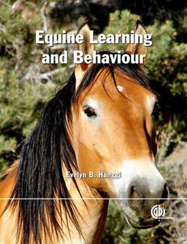 Cover image for Equine Learning and Behaviour