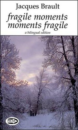 Cover image for Fragile Moments Moments Fragile: A Bilingual Edition