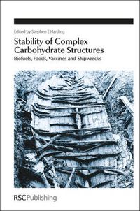 Cover image for Stability of Complex Carbohydrate Structures: Biofuels, Foods, Vaccines and Shipwrecks