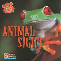 Cover image for Animal Sight