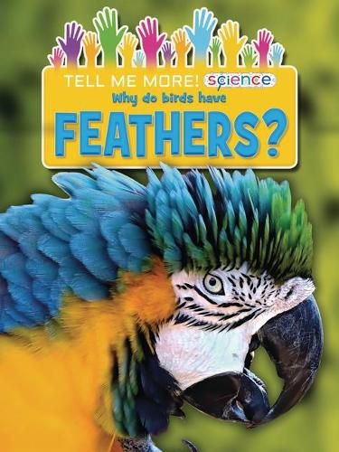 Cover image for Why Do Birds Have Feathers?
