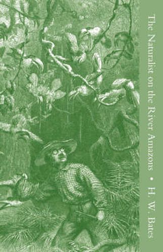 Cover image for The Naturalist on the River Amazons Vol II