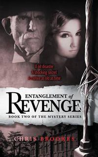 Cover image for Entanglement Of Revenge