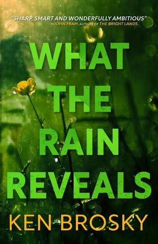 Cover image for What the Rain Reveals