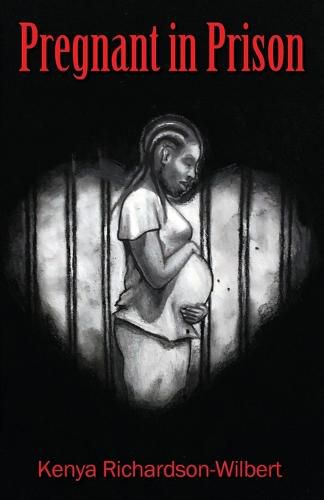 Cover image for Pregnant in Prison