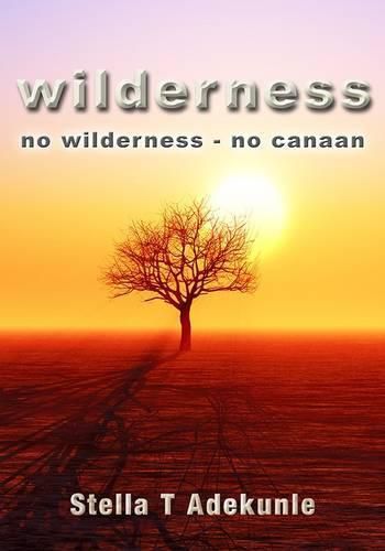 Cover image for Wilderness: No Wilderness, No Canaan