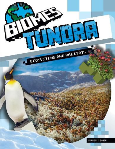 Cover image for Tundra