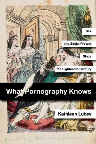 Cover image for What Pornography Knows: Sex and Social Protest since the Eighteenth Century