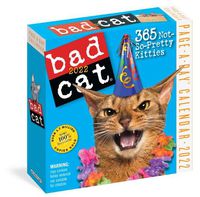 Cover image for 2022 Bad Cat