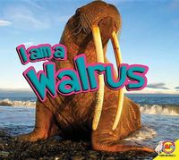 Cover image for I Am a Walrus