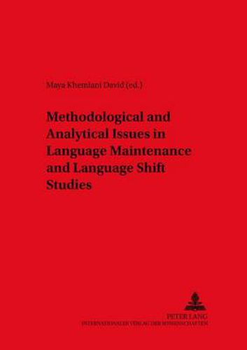 Cover image for Methodological and Analytical Issues in Language Maintenance and Language Shift Studies