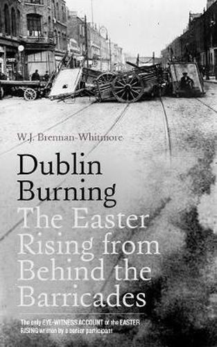 Cover image for Dublin Burning: The Easter Rising from Behind the Barricades