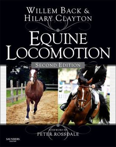 Cover image for Equine Locomotion