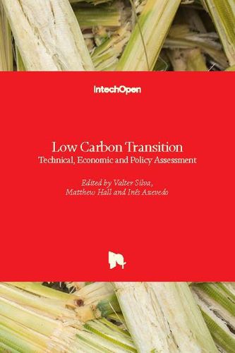 Low Carbon Transition: Technical, Economic and Policy Assessment