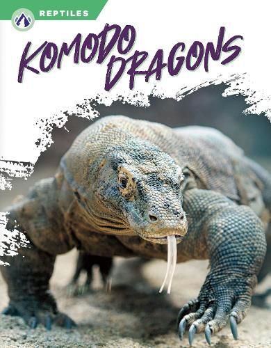 Komodo Dragons