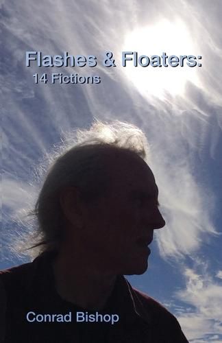 Cover image for Flashes & Floaters