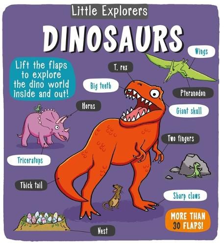 Cover image for Little Explorers: Dinosaurs