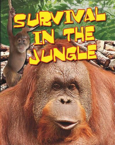 Cover image for Survival in the Jungle