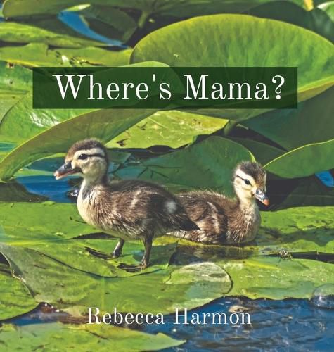 Cover image for Where's Mama?