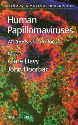 Cover image for Human Papillomaviruses: Methods and Protocols