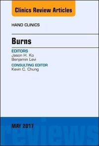 Cover image for Burns, An Issue of Hand Clinics