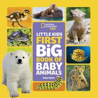 Cover image for Little Kids First Big Book of Baby Animals