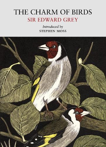 Cover image for The Charm of Birds
