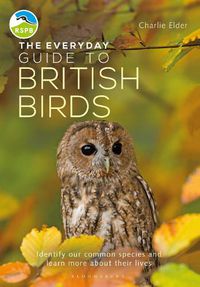 Cover image for The Everyday Guide to British Birds: Identify our common species and learn more about their lives