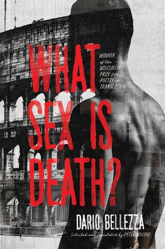 Cover image for What Sex Is Death?