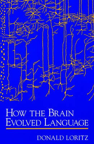 Cover image for How the Brain Evolved Language