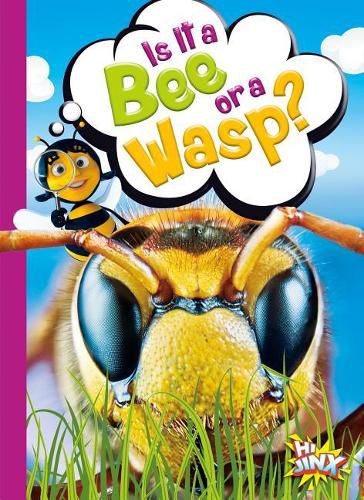 Cover image for Is It a Bee or a Wasp?