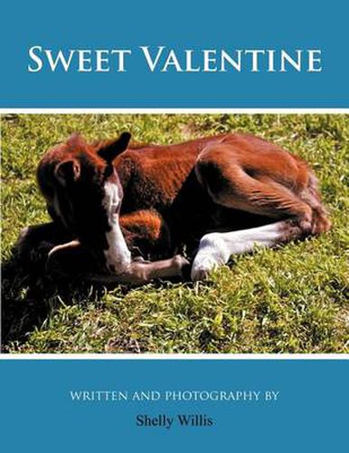 Cover image for Sweet Valentine