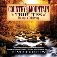 Cover image for Country Mountain Tributes: Elvis Presley