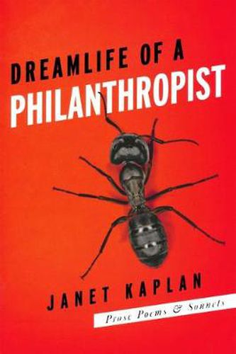 Cover image for Dreamlife of a Philanthropist