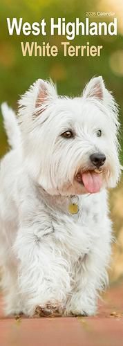 Cover image for West Highland Terrier Slim Calendar 2026 Dog Breed Slimline Calendar - 12 Month