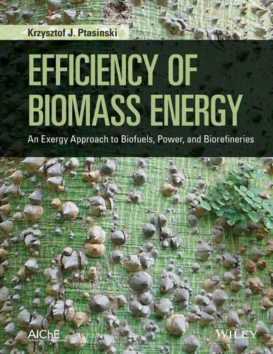 Cover image for Efficiency of Biomass Energy: An Exergy Approach to Biofuels, Power, and Biorefineries