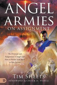 Cover image for Angel Armies on Assignmnet