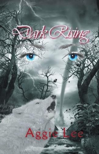 Cover image for Dark Rising