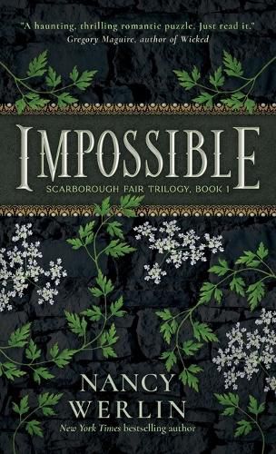 Cover image for Impossible