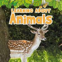 Cover image for Learning about Animals